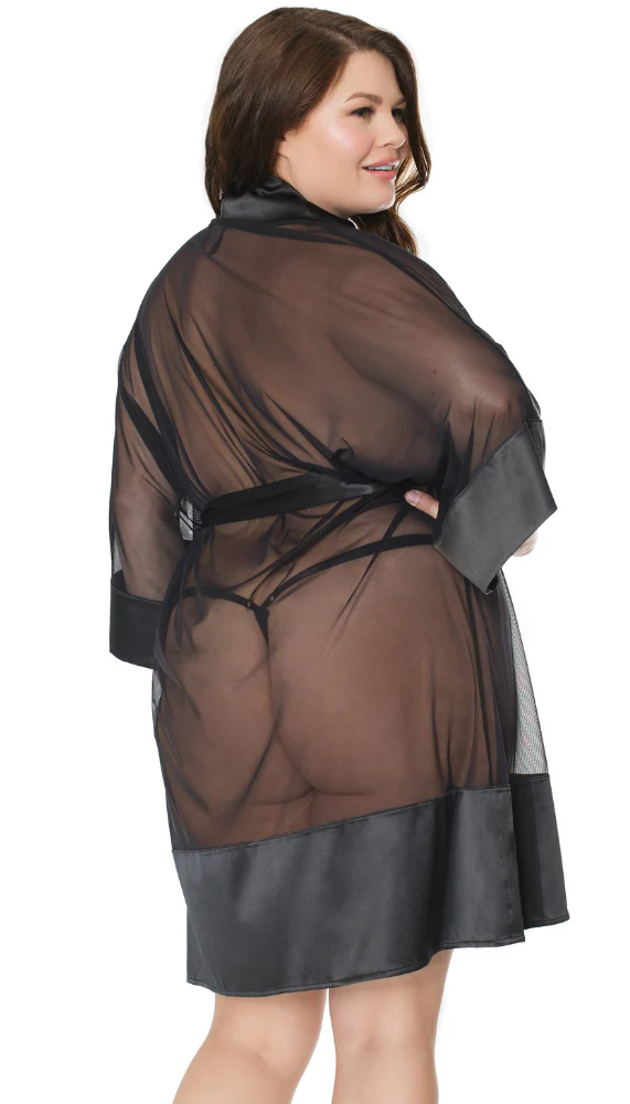 Sheer Black Robe - Image 5